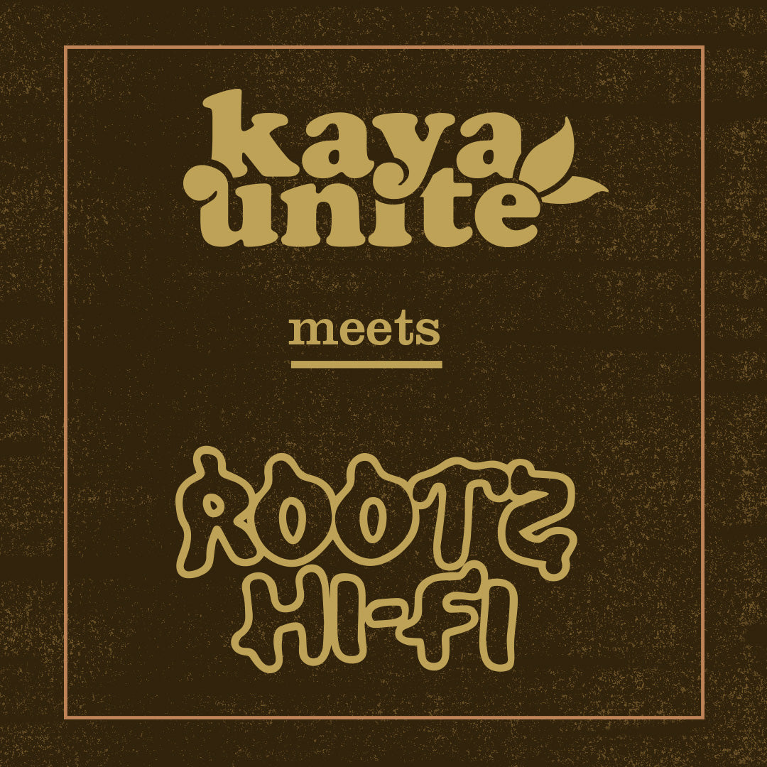 10 años Rootz Hi Fi SoundSystem