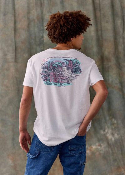 Poleras Hombre Diseño