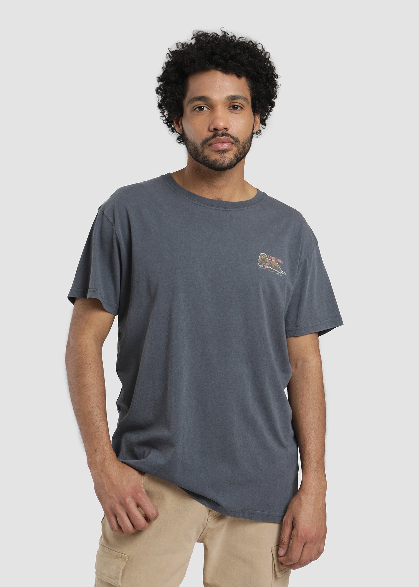 Polera Hombre Chungungo