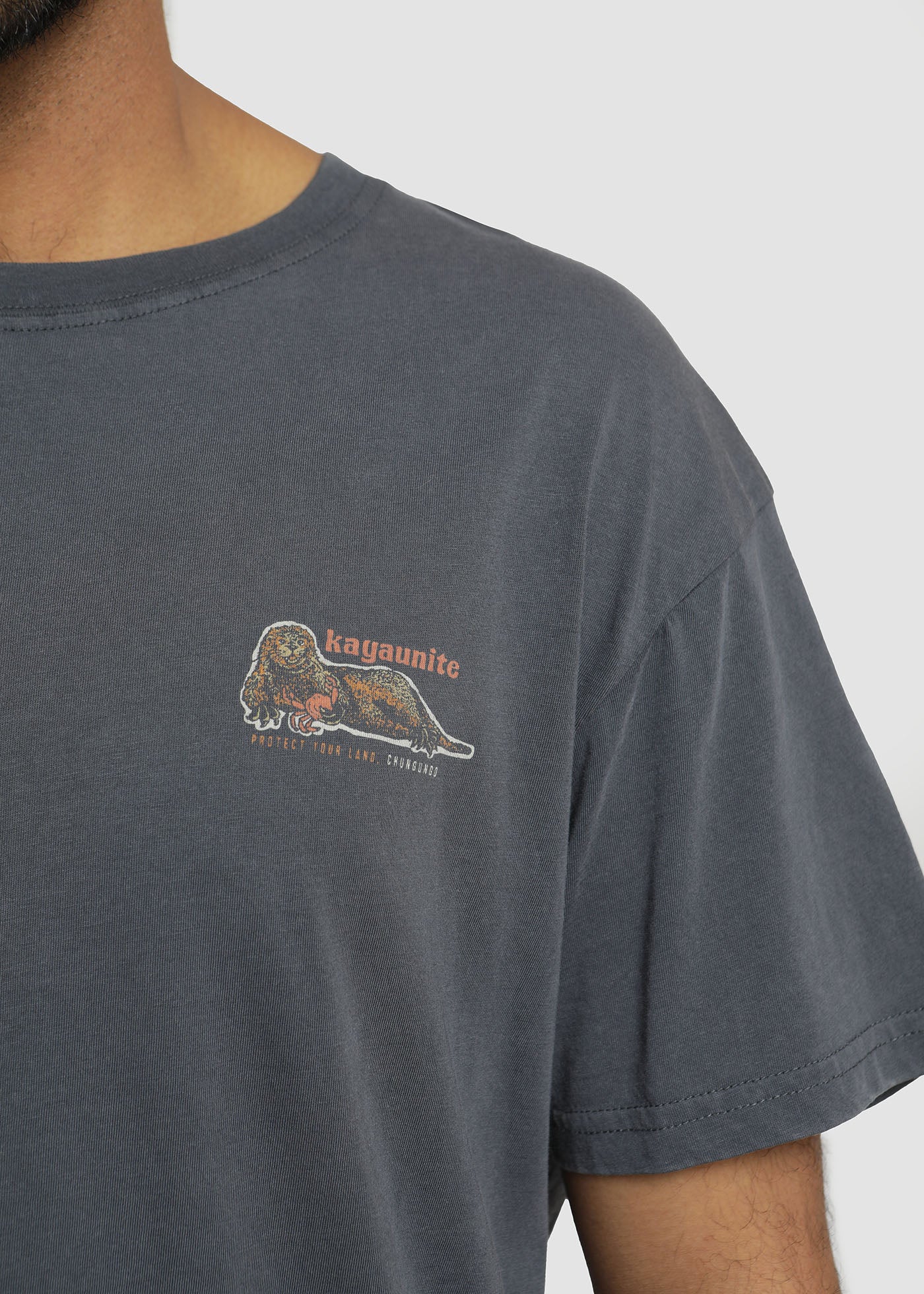 Polera Hombre Chungungo