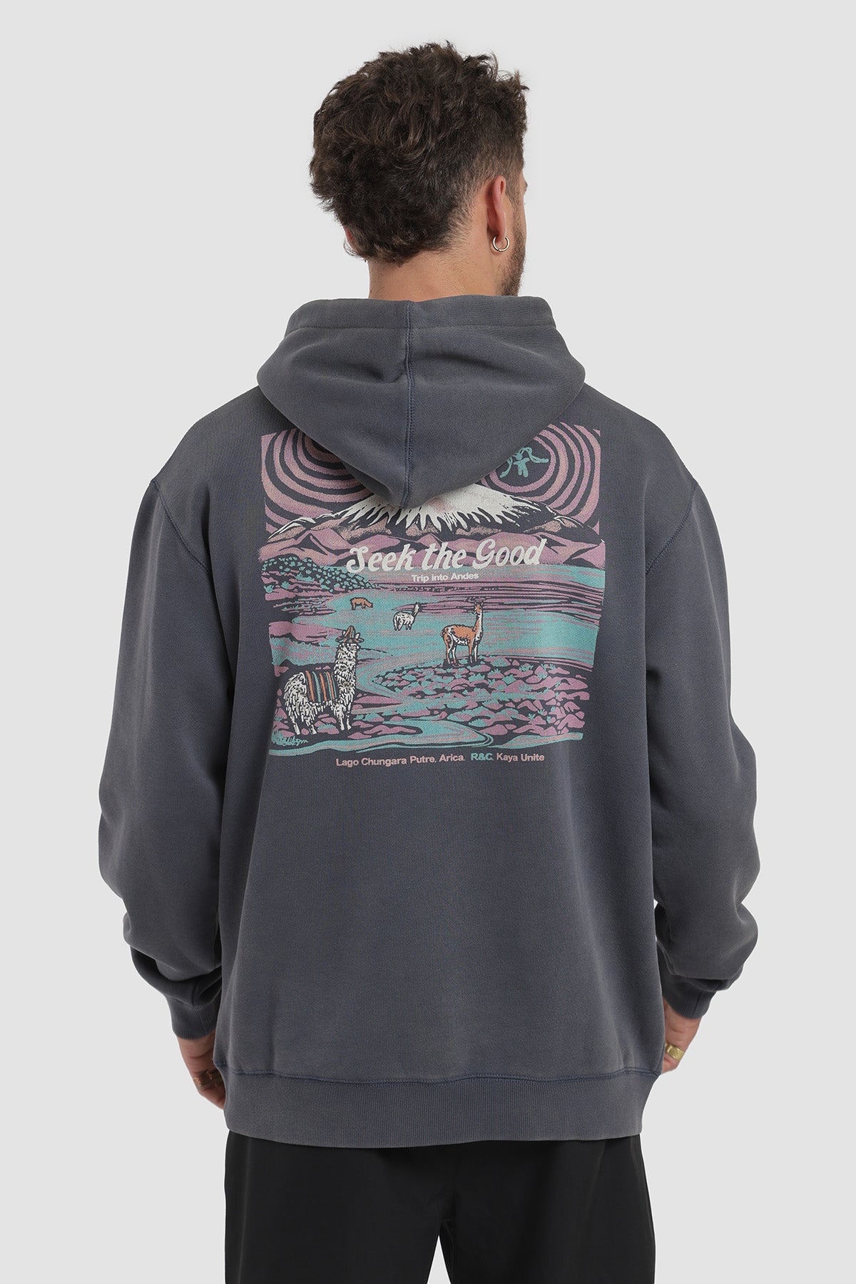 Polerón Hoodie Diseño Lauca Hombre - Azul Marino