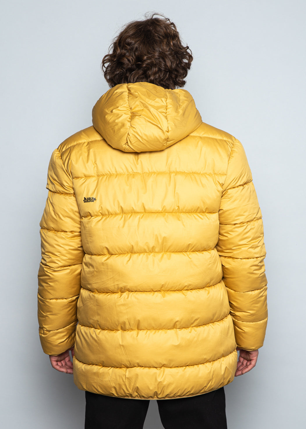 Parka Paine Mustard