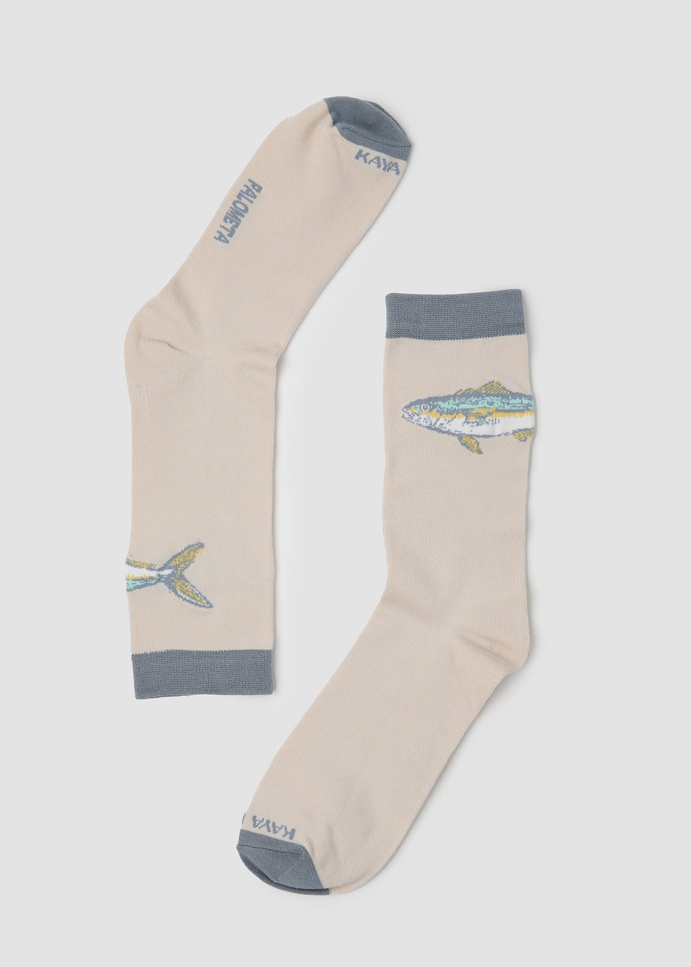 Pack Regalable Calcetines Pez - Lata Azul