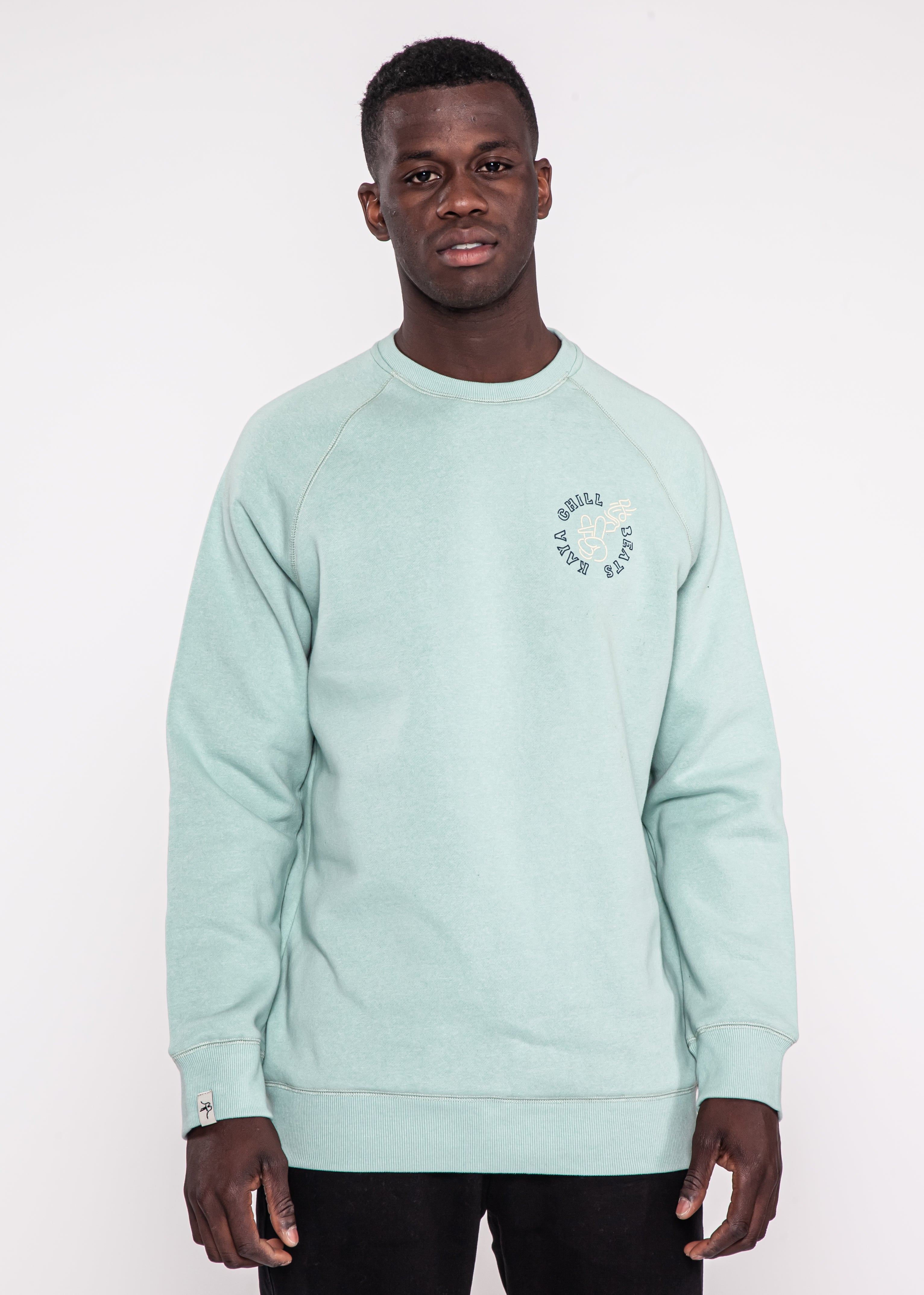 Polerón Crewneck Chill Teal