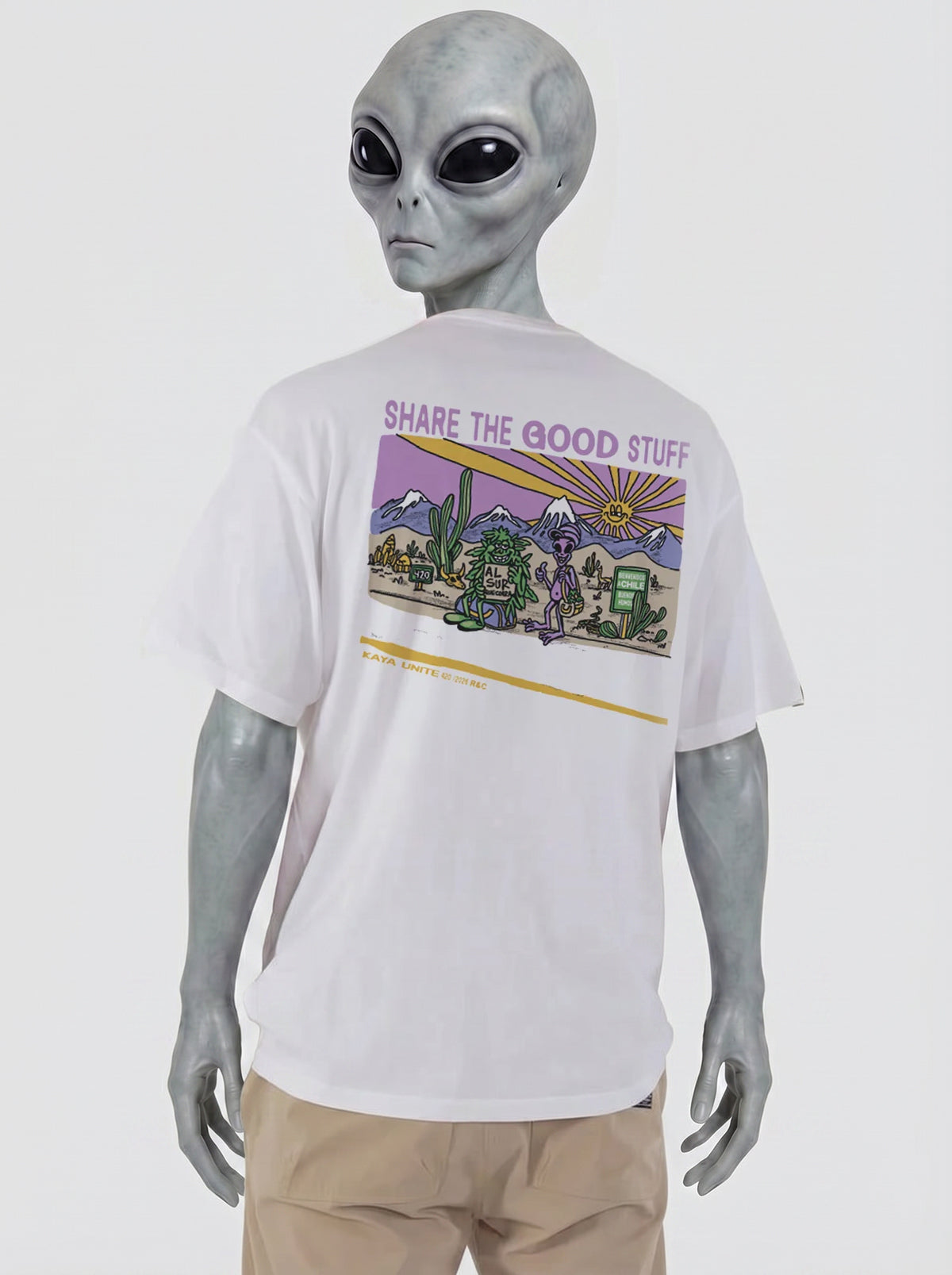 Polera Diseño Edición Especial 420 Share The Goods