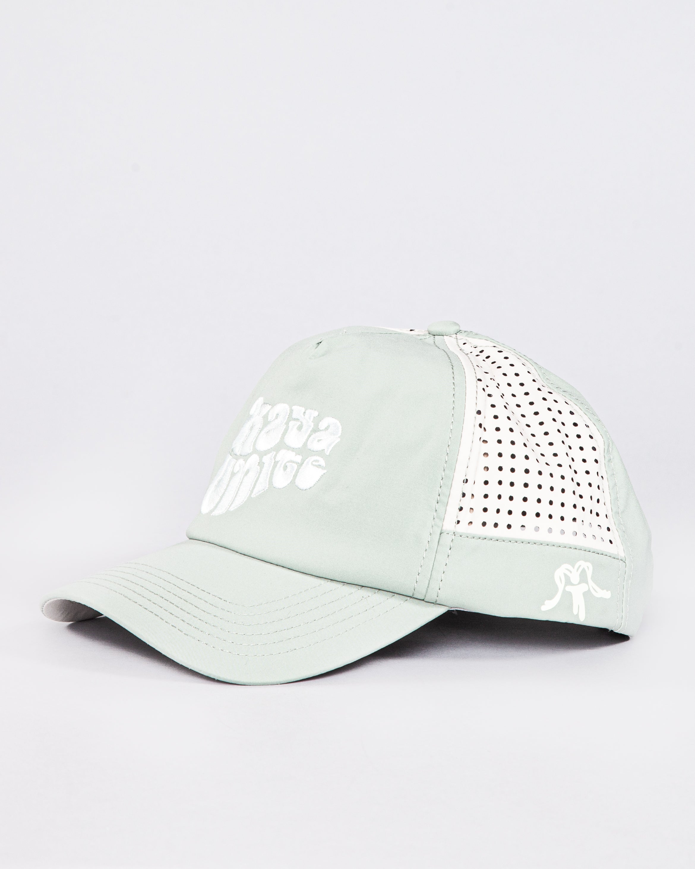 Cap Semitrucker Dry Green