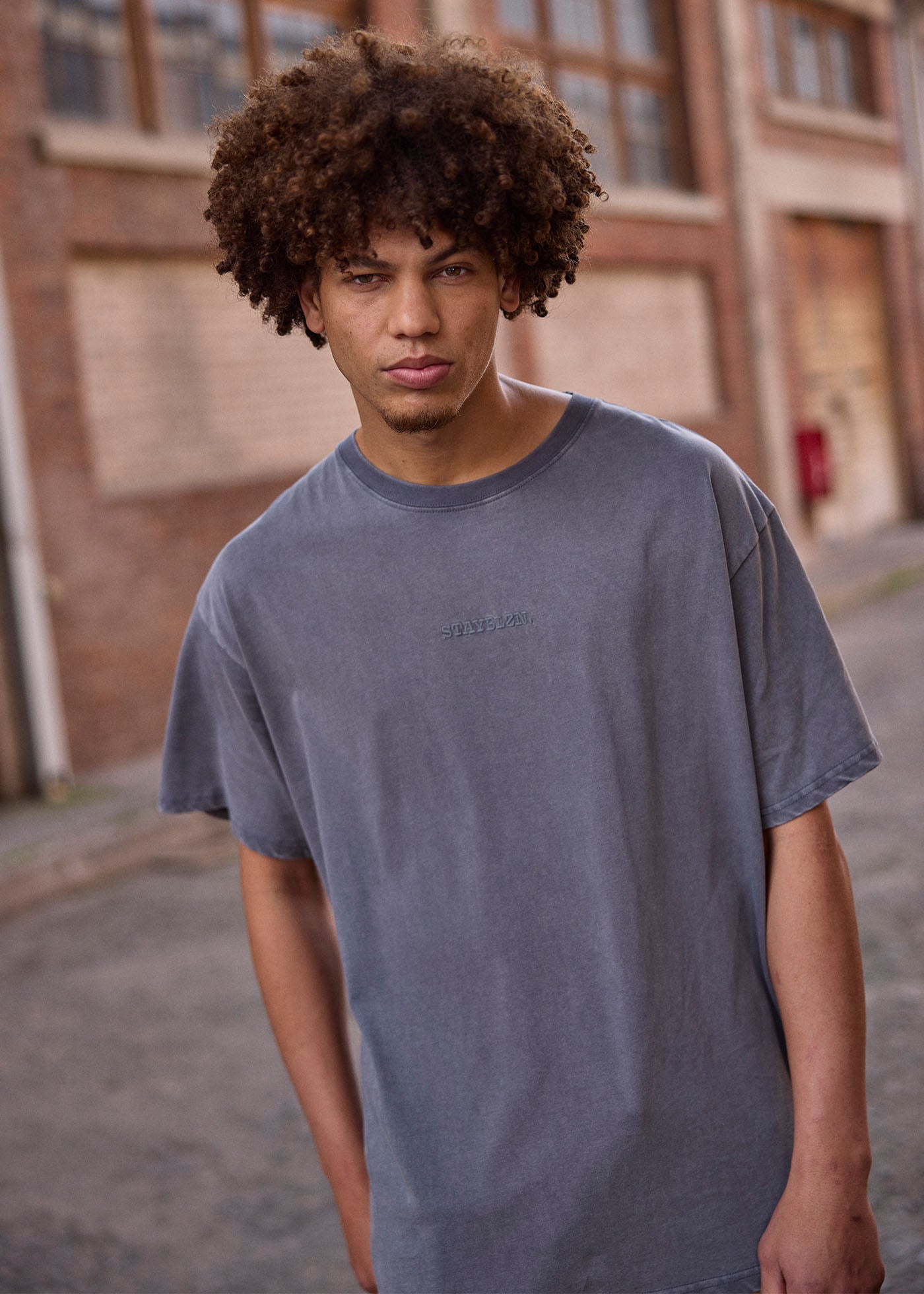 Polera Hombre Heavyweight - Grafito