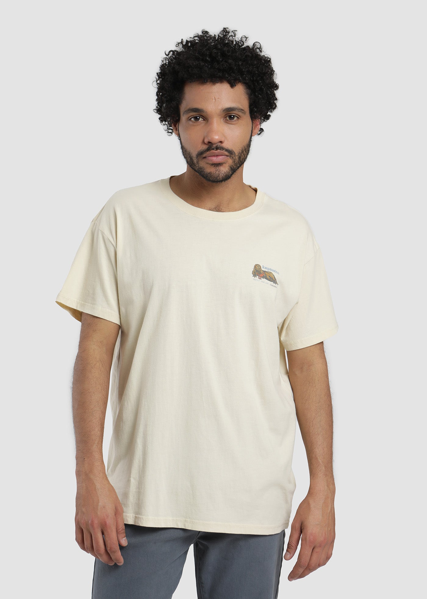 Polera Hombre Chungungo