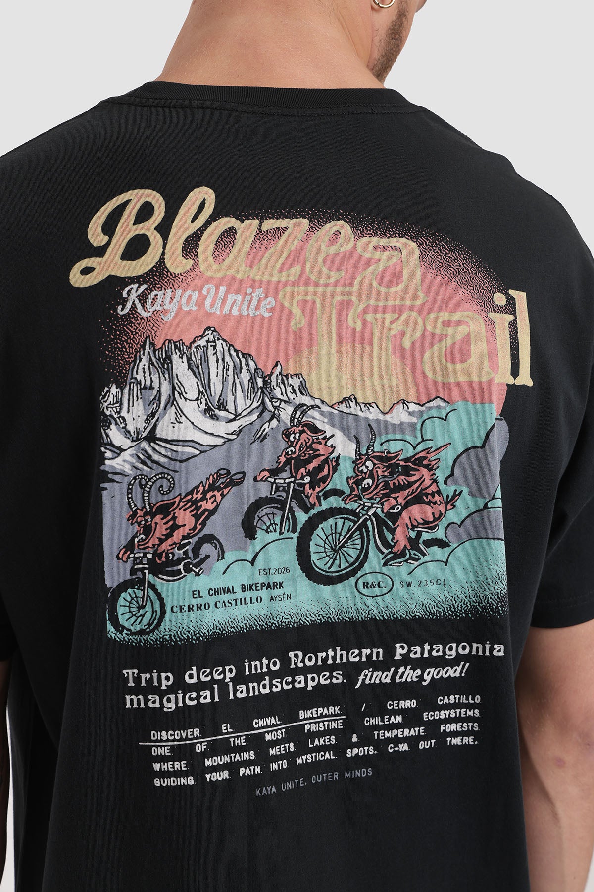 Polera Diseño Blaze Algodón Hombre - Negro