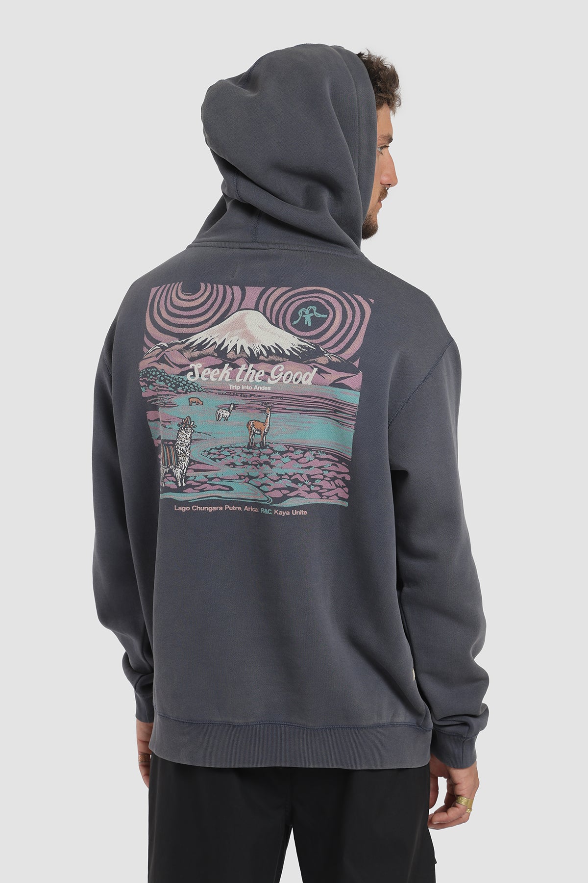 Polerón Hoodie Diseño Lauca Hombre - Azul Marino