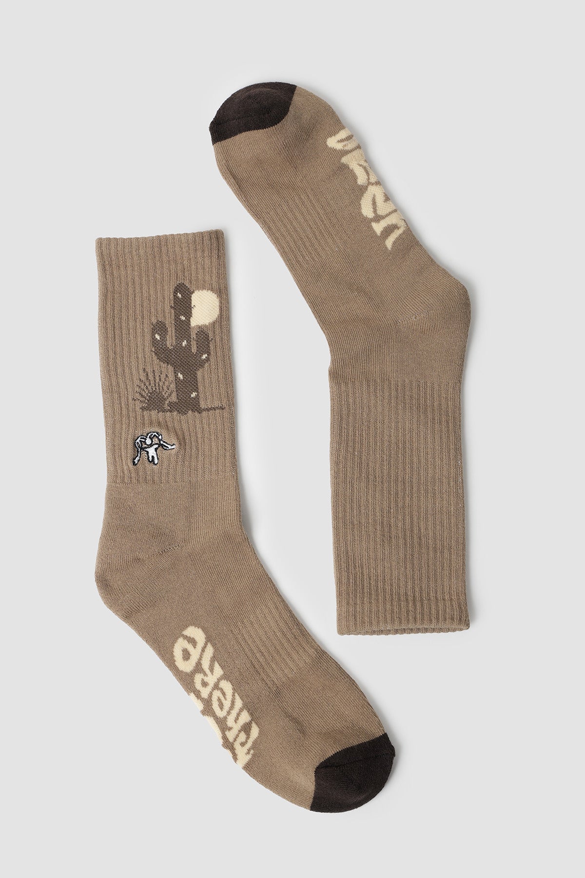 Calcetines 2 Pack Desierto Zorro - Cactus - Negro