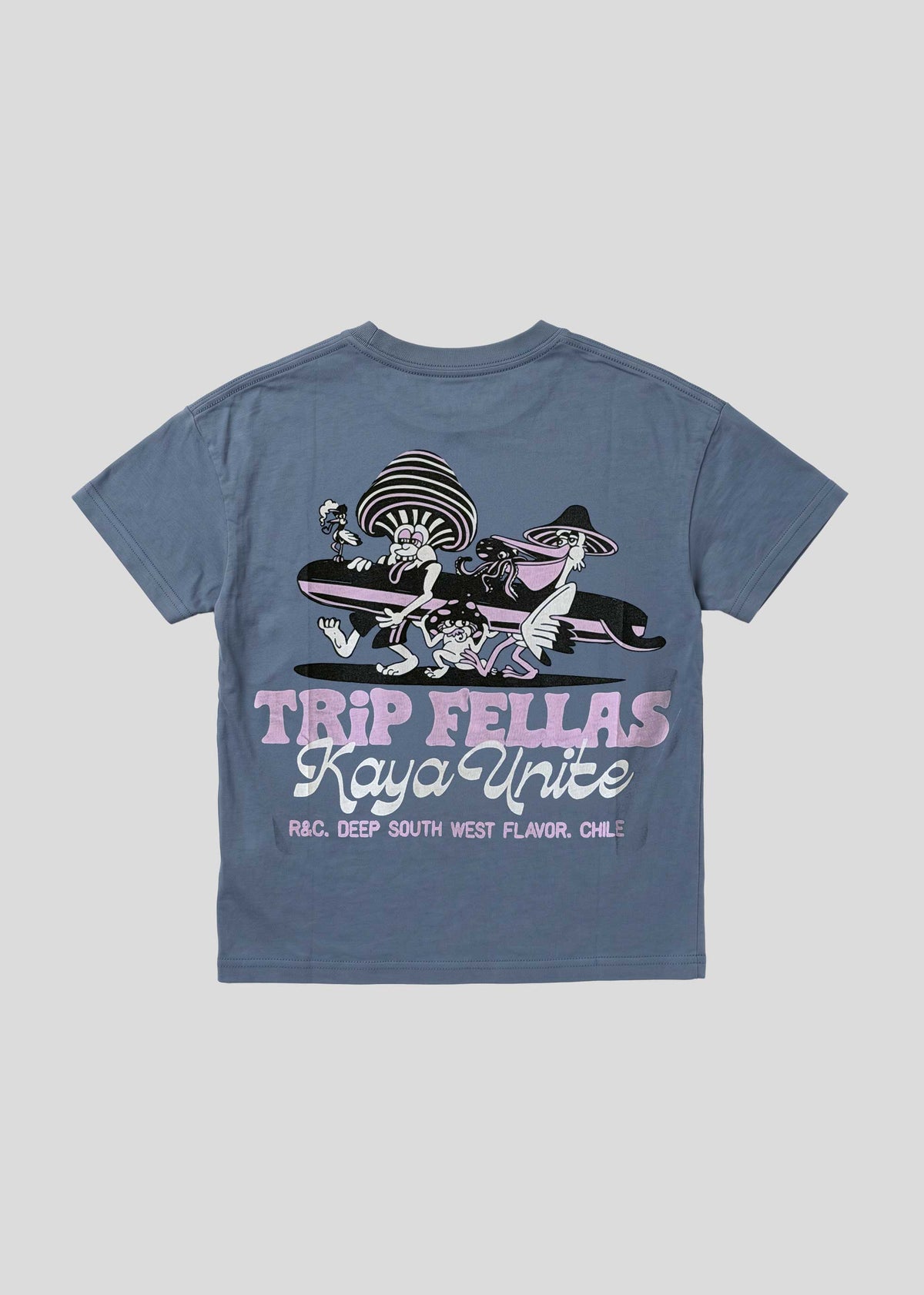 Polera Diseño Fellas Algodón Kids - Azul