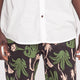 Chino Shorts Aloe Black Green