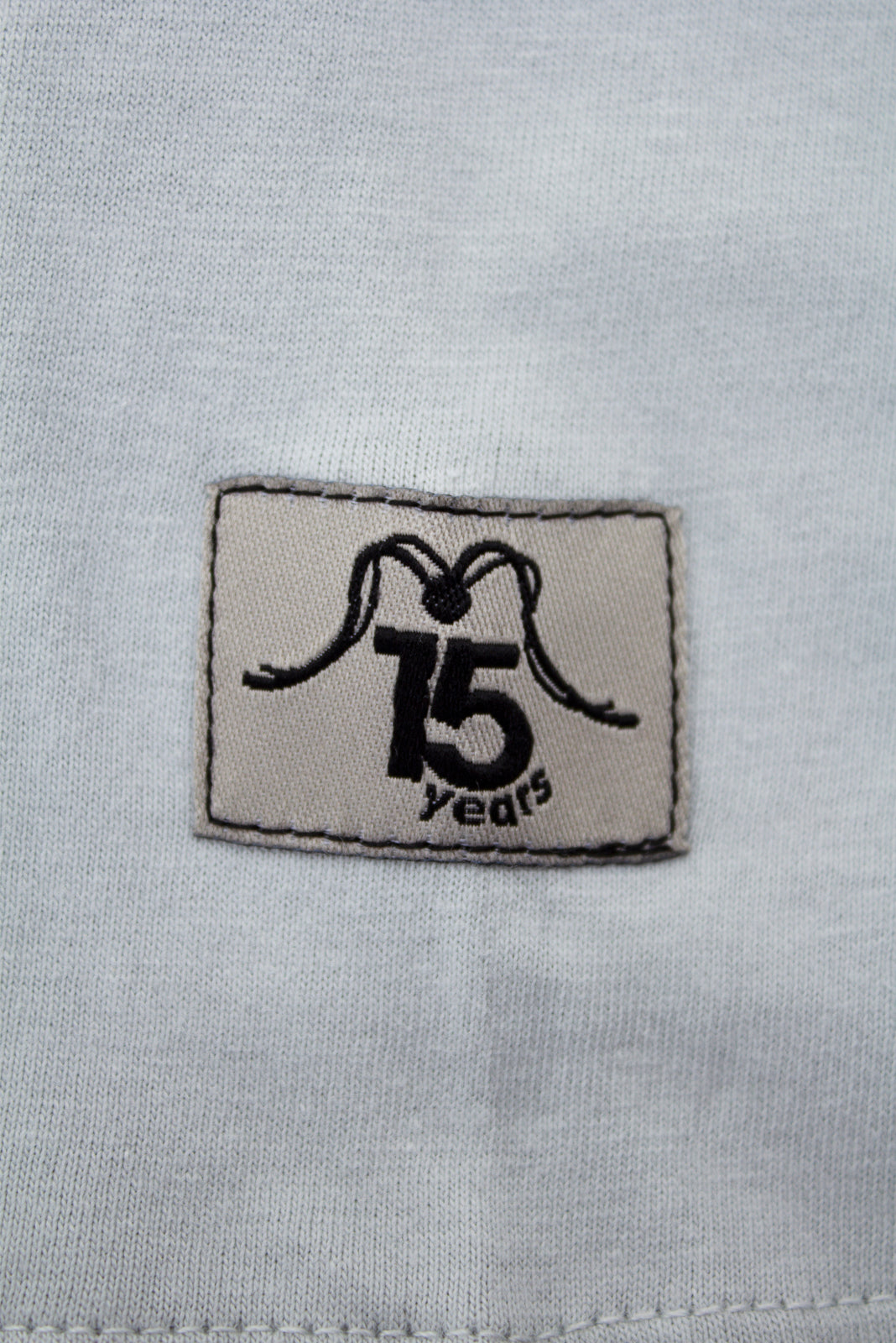 TSHIRT 2015 GREY - 15 YEARS